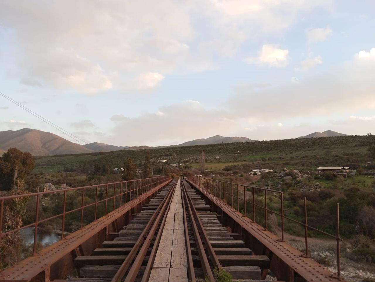 Líneas del tren